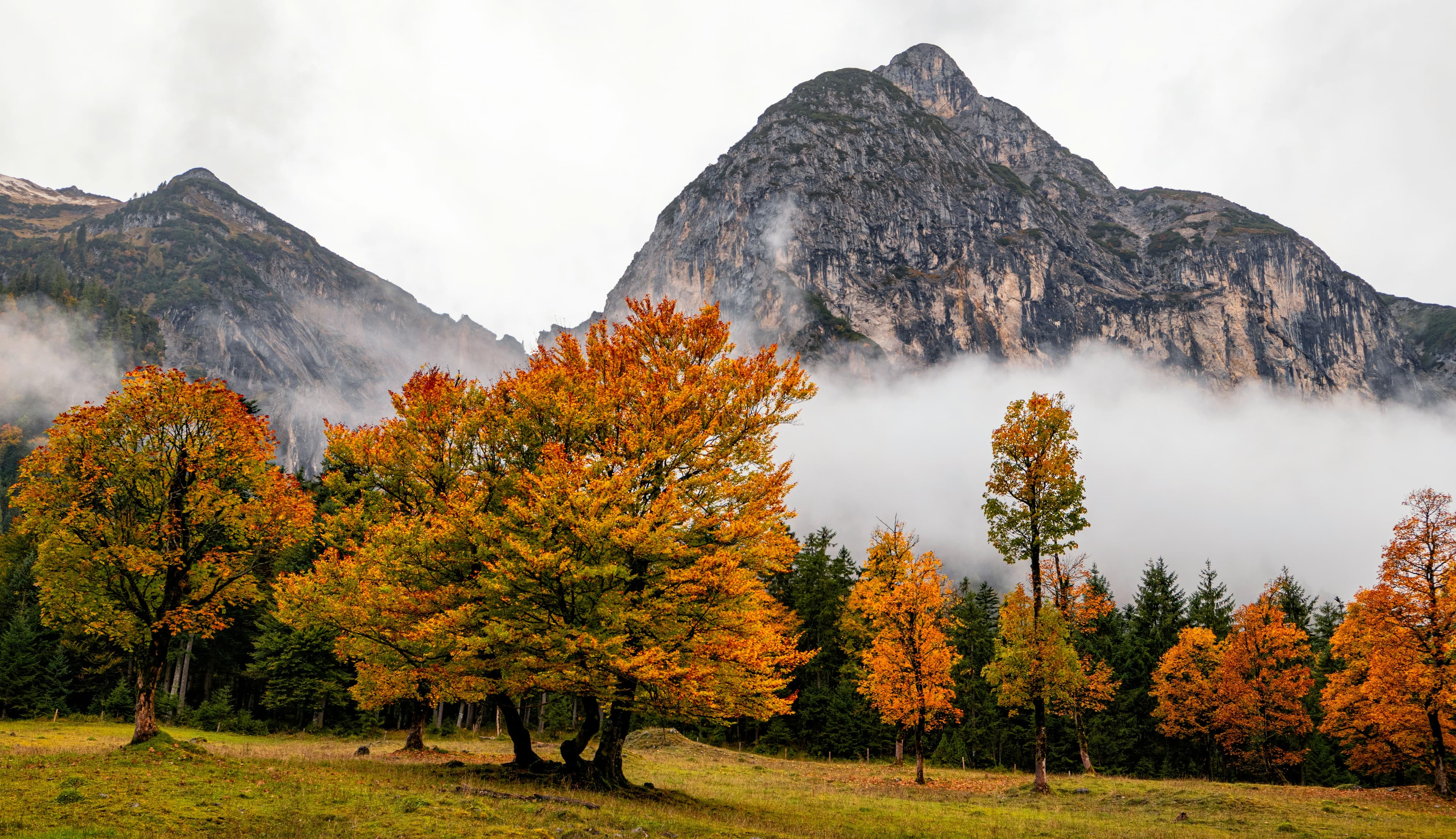mountain