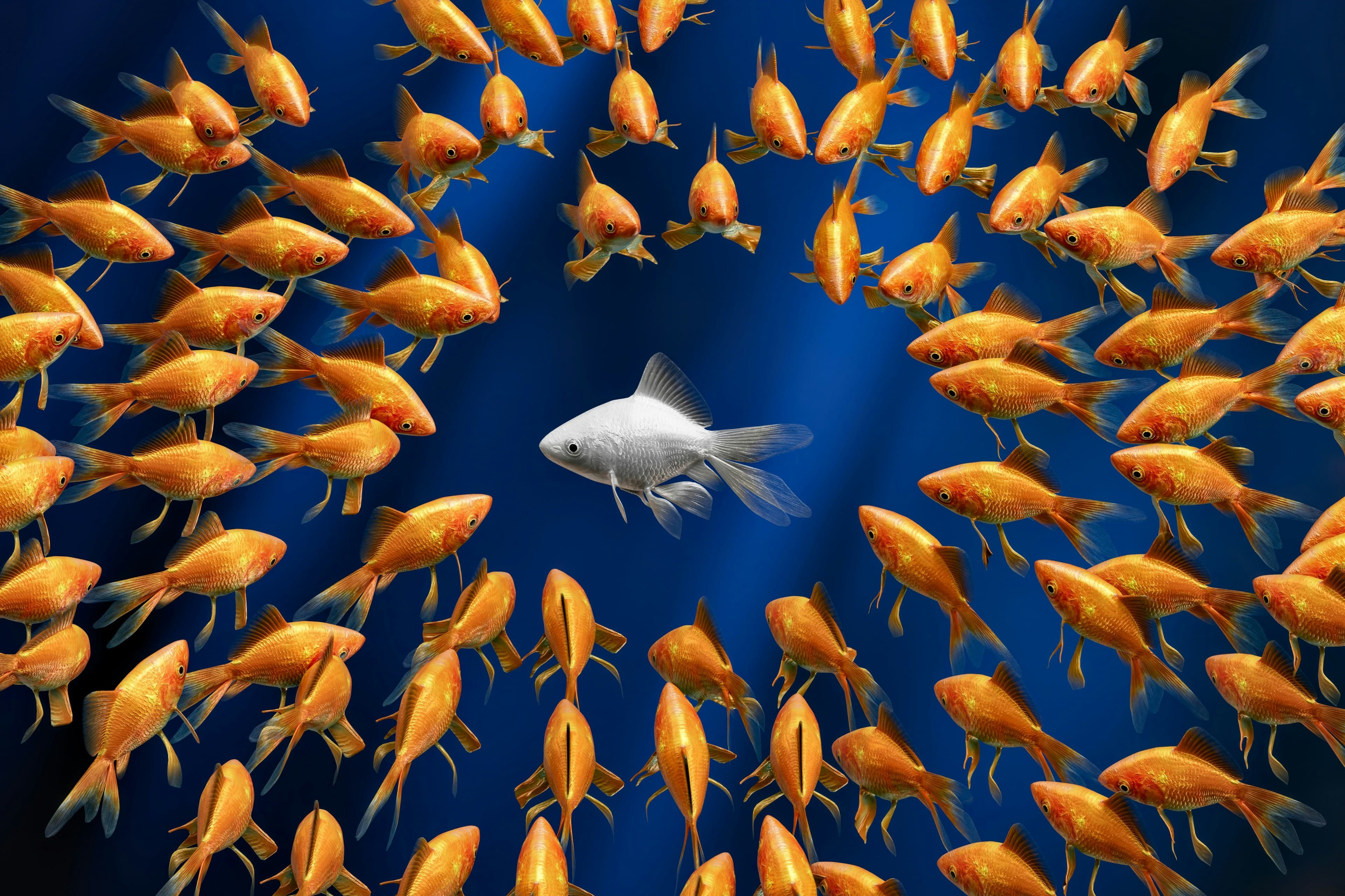 single tree standing strong symbolizing healthy independence