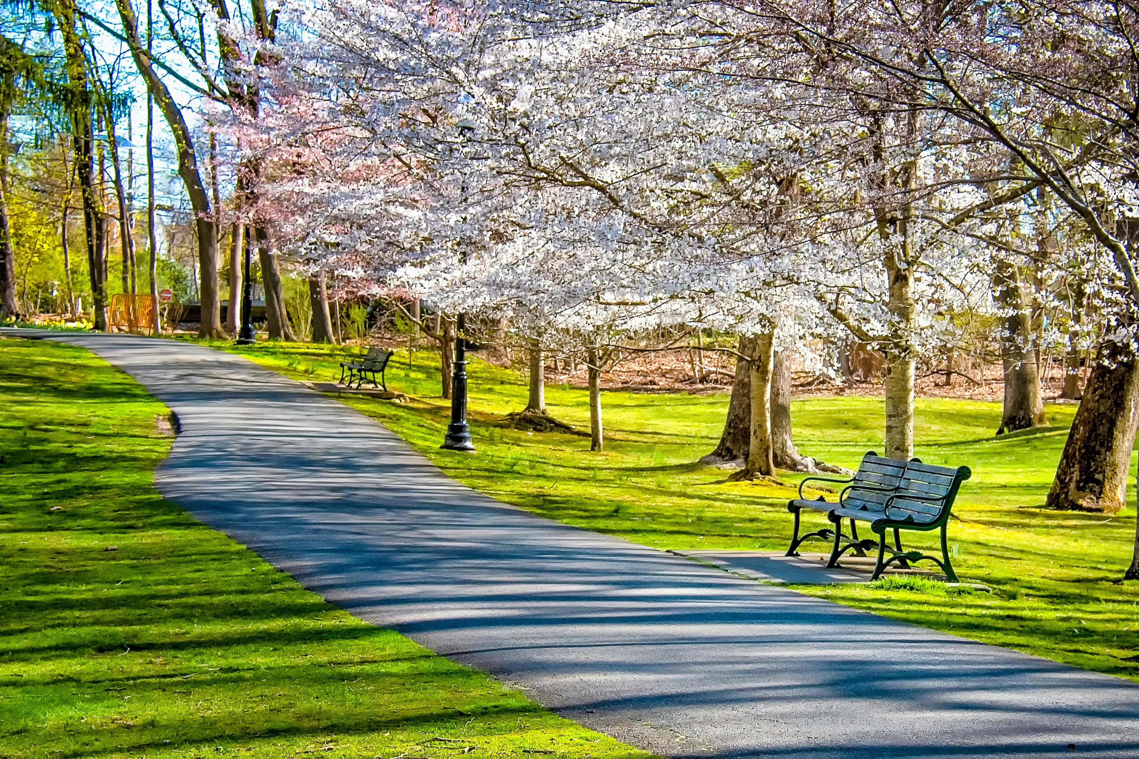 healing from medical trauma