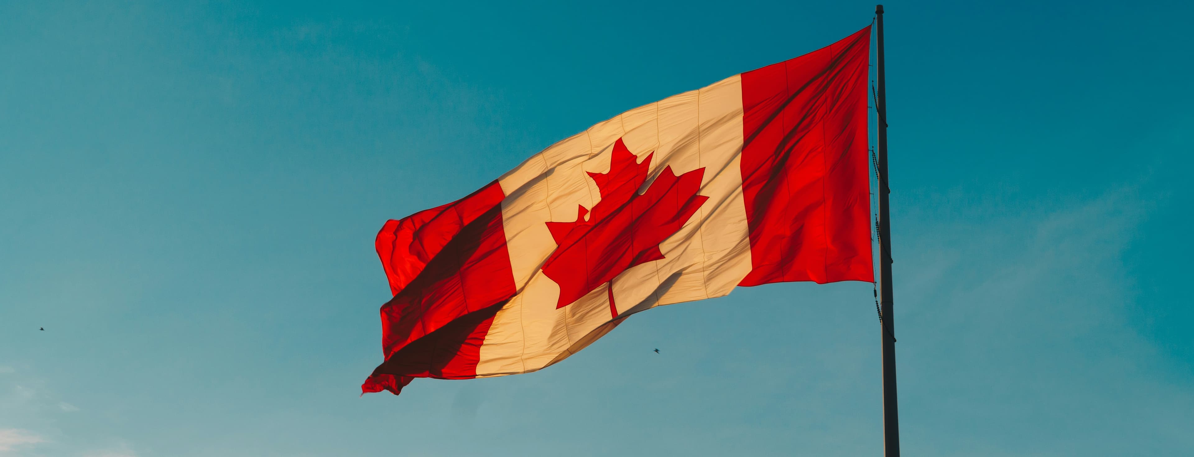 person looking toward a new horizon representing immigration and new beginnings