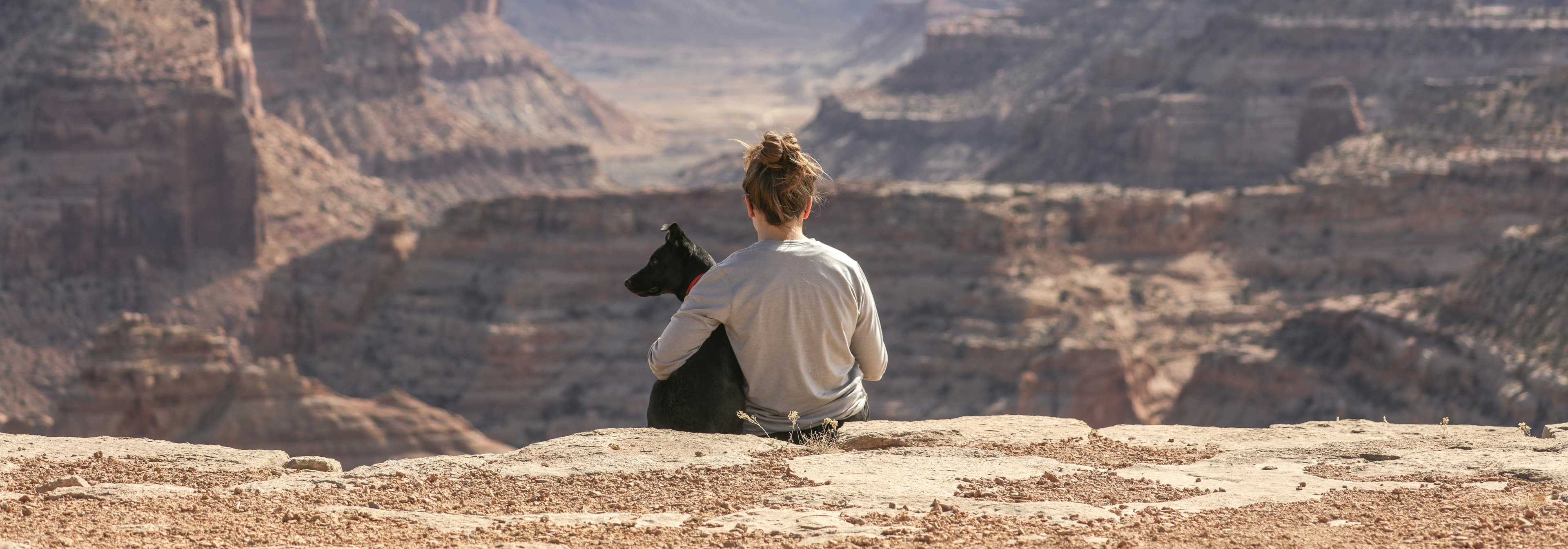 peaceful garden with empty collar representing beloved companion