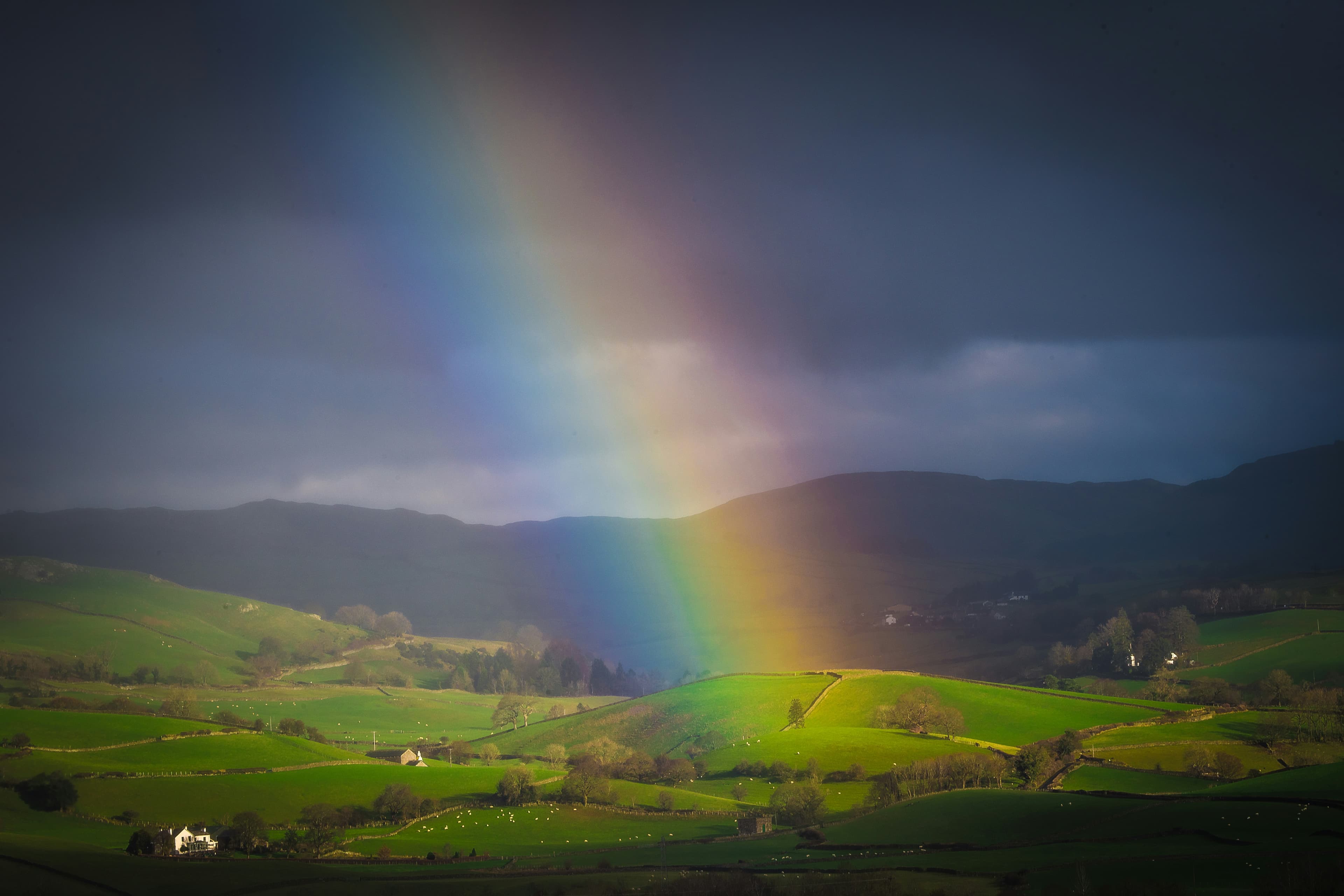 recovering from ptsd