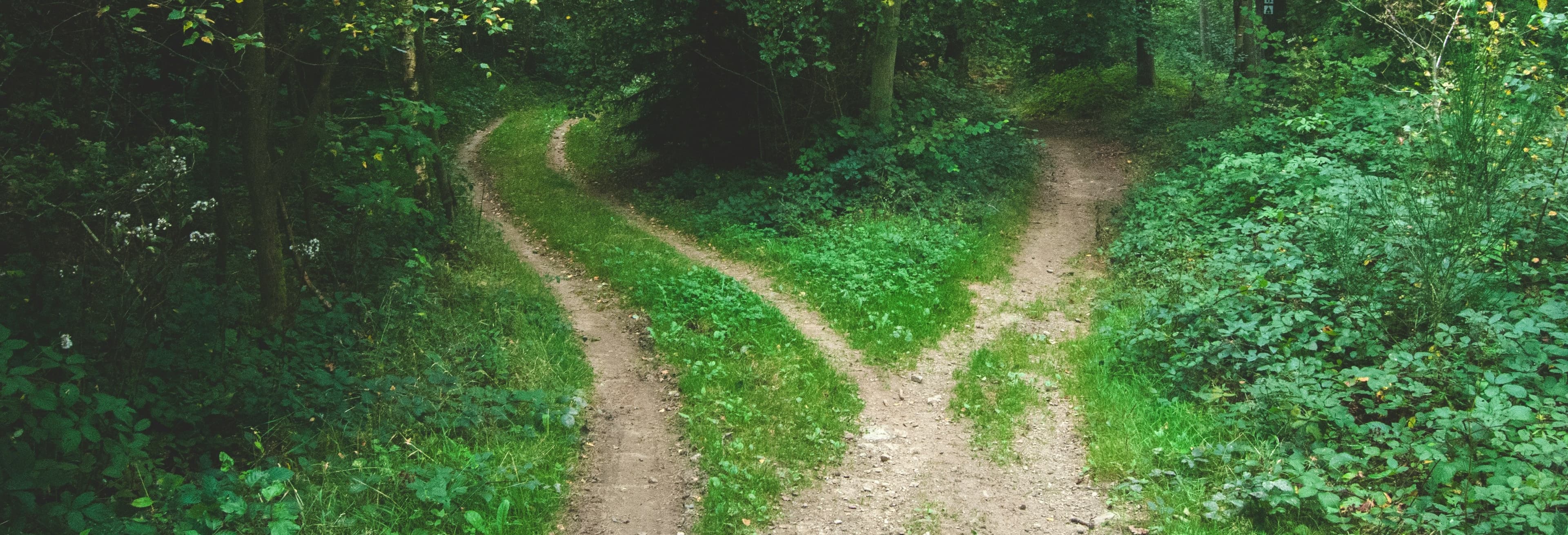 person looking forward