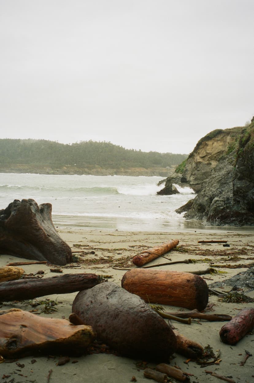 治療師的個人分享 1