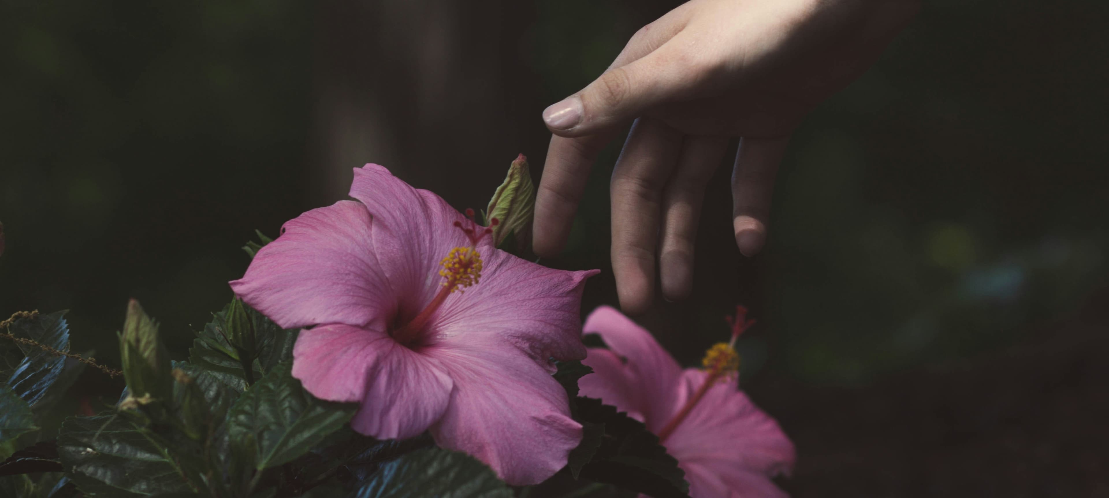 healing journey
