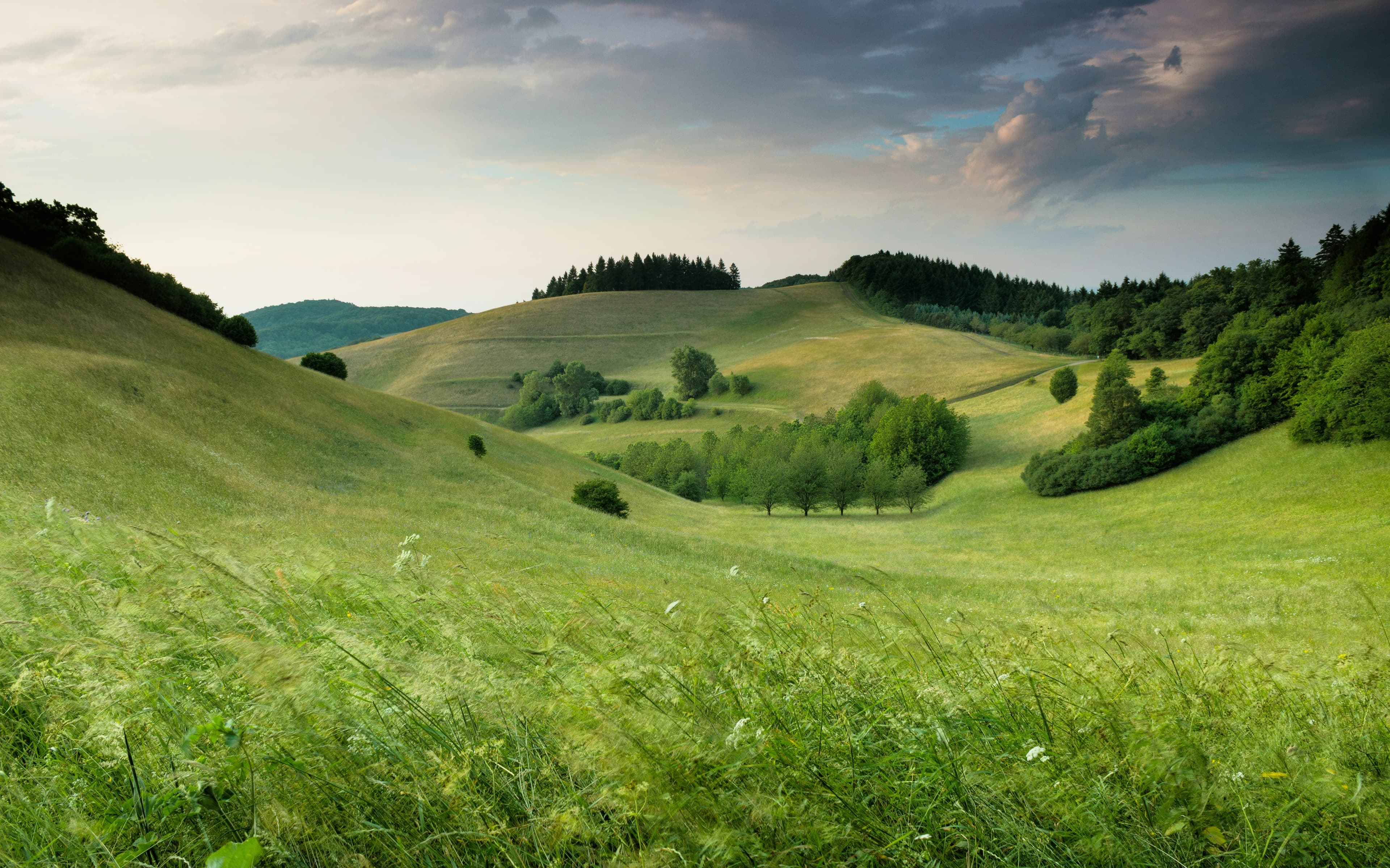 serene landscape