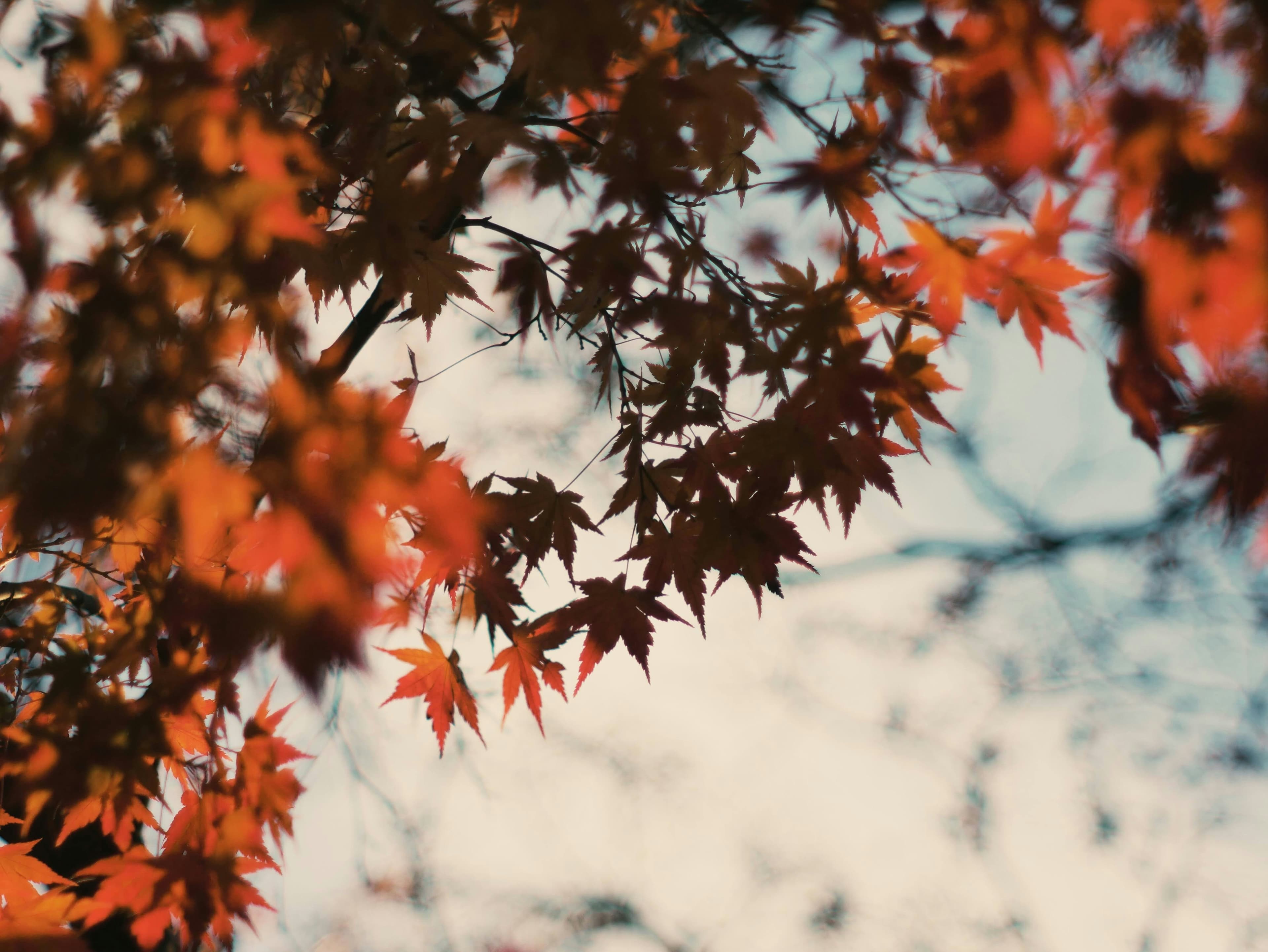 healing from trauma