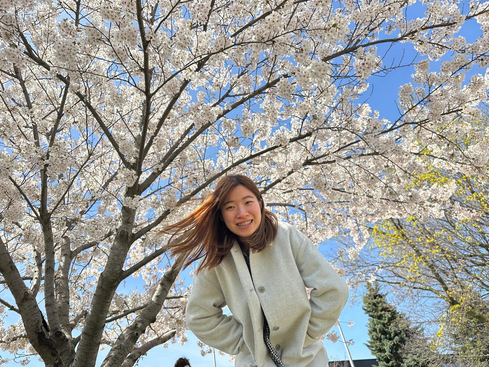 Professional headshot of Sze Nga Cecilia Au Yeung, Registered Social Worker (ON)