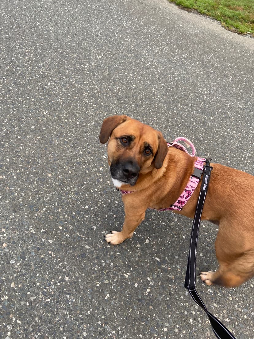 fait personnel du thérapeute 2